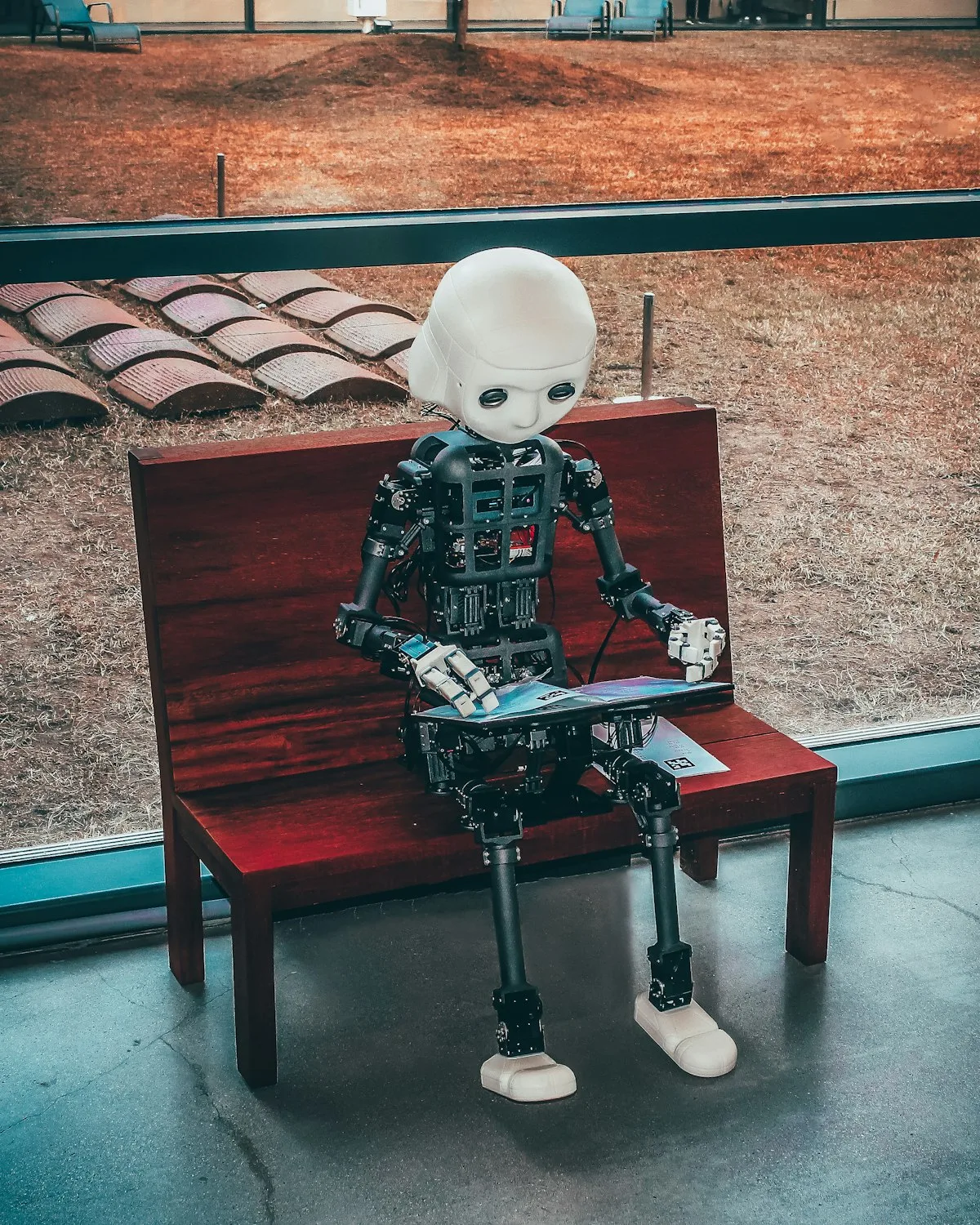 AI & Machine Learning Solutions